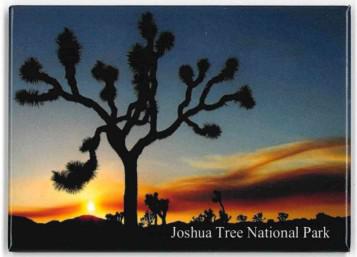 JT Sunrise Magnet