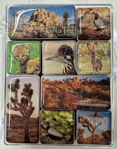 JTNP Mini Magnet Pack