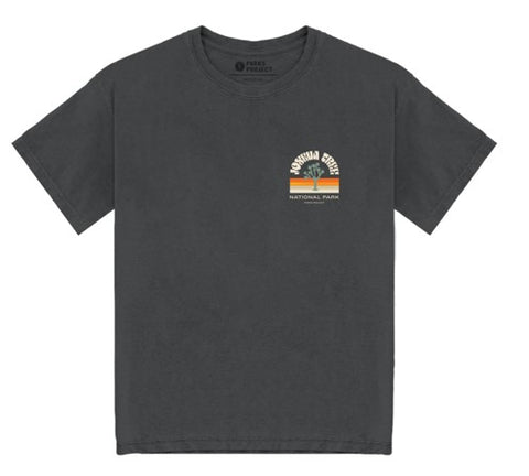 Joshua Tree Sunset Splendor T-shirt