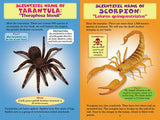 Who Would Win? Tarantula vs. Scorpion