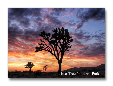 JT Sunset Magnet