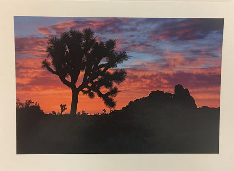 Sunrise At Sheep Pass Note Card - Joshua Tree National Park Association