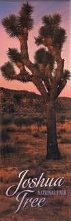 Joshua Tree Panoramic Magnet - Joshua Tree National Park Association