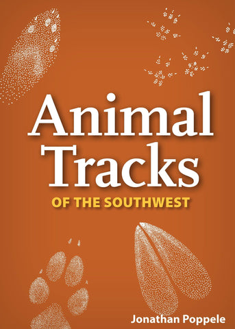 Animal Tracks Playing Cards - Joshua Tree National Park Association