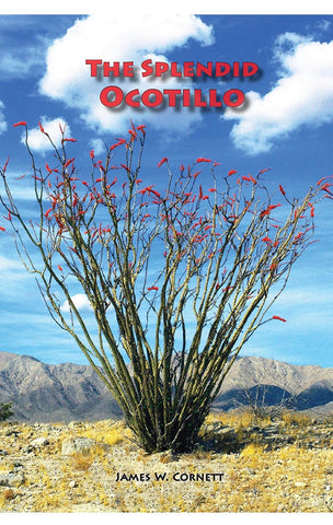 The Splendid Ocotillo